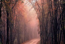 米兰体育官网-圣埃蒂安主场力挫对手，法甲赛季前景乐观