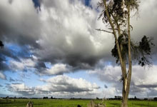 米兰体育官网-当姆巴佩目睹湖人出局：NBA权力版图迎来血色黎明